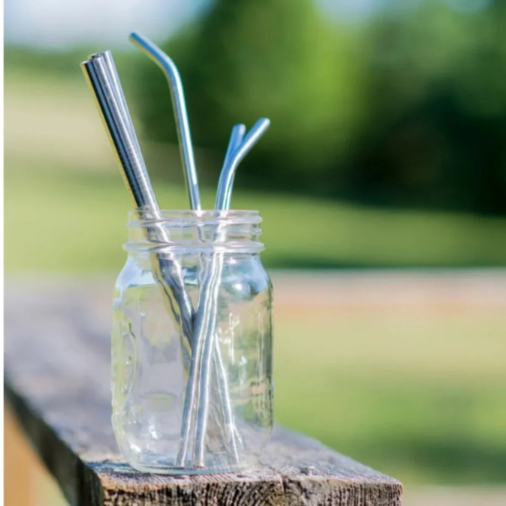 4th Utensil Reusable Bent Stainless Steel Straws‎ and Cleaning Brush | NWT